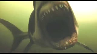 All Creature Effects 4 Shark Night [upl. by Camella473]