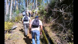 Passeio CCM  Funchal Levada do Poço Barral Viana Curral das Freiras a 01112014 [upl. by Nabala996]