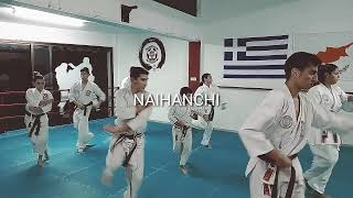 Naihanchin Shodan ⛩️ Kata Koei Kan Karate Do [upl. by Enisaj266]