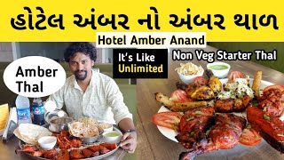 Sp Amber Thal  Tandoori Platter  Unlimited  Non Veg Thali  Price  Review  Hotel Amber Anand [upl. by Leibman]