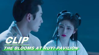 Clip Late Night Talk On The Roof  The Blooms At RUYI Pavilion EP16  如意芳霏  iQIYI [upl. by Elleahcim]