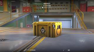 【每日一箱】第364天開箱，直到出金才停！csgo csgo2 [upl. by Fitzsimmons]