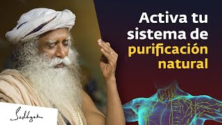 Activa el sistema de purificación natural del cuerpo  Sadhguru Español [upl. by Clifford]