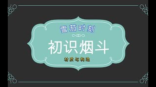 【雪茄时刻】完事抖一斗 烟斗初识 [upl. by Clower660]