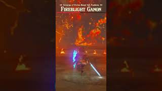 FIREBLIGHT GABON BOSS FIGHT zelda botw nintendo shorts [upl. by Aronoel9]