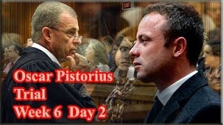 Oscar Pistorius Trial Tuesday 15 April 2014 Session 1 [upl. by Essile679]