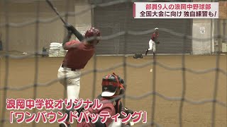 野球部員わずか9人で挑む全国大会 青森・浪岡中野球部がオリジナル練習でトップレベルに挑戦 [upl. by Salesin]