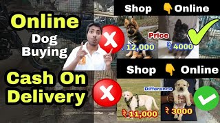 Online dog कैसे buy किया जाता है  How to buy dog online [upl. by Eutnoj]