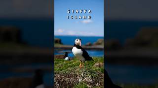 I VISITED A STAFFA ISLAND IN SCOTLAND travel adventure nature scotland drone mountains [upl. by Satterfield787]