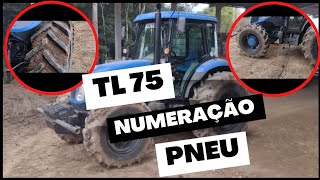 Mostrando o nosso trator New Holland TL 75Numeração dos pneus e também o interior da cabine [upl. by Airec]