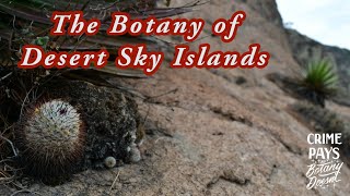 The Botany of Desert Sky Islands Starring Mammillaria andersoniana [upl. by Yk]