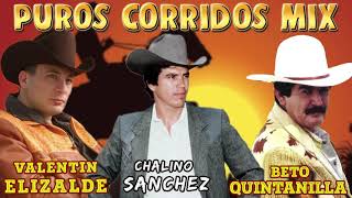 Beto Quintanilla Chalino Sanchez y Valentin Elizalde Corridos Pesados Mix [upl. by Terrance22]