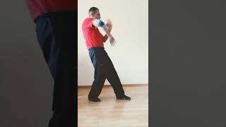 Wing Tsun  Bong Sao Wu Sao application [upl. by Aramo]