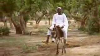 Living Darfur Official Music Video [upl. by Largent]