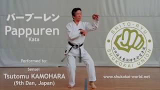 Pappuren kata  Shitoryu Shukokai Karate Do Union  sensei Tsutomu KAMOHARA [upl. by Asyram]