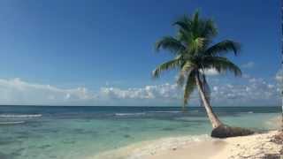 Relaxing 3 Hour Video of A Tropical Beach with Blue Sky White Sand and Palm Tree [upl. by Alag]