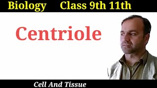 Centrioles  structure and function of centrioles  Class 9 and 11  Cell organelles [upl. by Kimmel582]