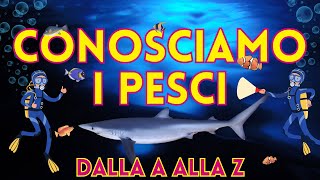 I nomi dei pesci dalla A alla Z  Descrizione dei pesci 4K Video Educativo [upl. by Elad]