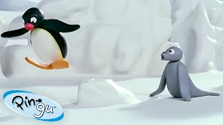 Pingu Learns to Fly 🐧  Pingu  Official Channel  Cartoons For Kids [upl. by Nonnair]