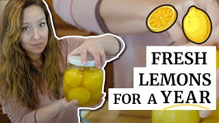 This Is How I Keep Lemons For An Entire Year [upl. by Luttrell848]