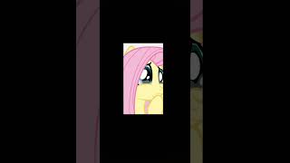 FLUTTERSHY❤ [upl. by Giarla]