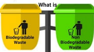 What is Biodegradable and Non Biodegradable Waste I Waste Management I NonBiodegradable Materials [upl. by Brinson]