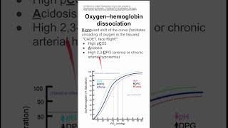 Oxygenhemoglobin dissociation [upl. by Amabil462]