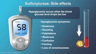 Treatment and Management of Type 2 Diabetes [upl. by Nerrot754]