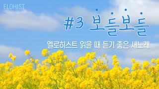 엘로히스트 읽을 때 듣기 좋은 새노래 3 [upl. by Lac]