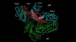 SYGNIS SunScript™ Webinar  A unique ReverseTranscriptase to synthesize difficult RNAs [upl. by Joe522]