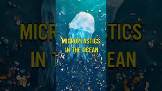 Microplastics In The Ocean [upl. by Retsevlis636]