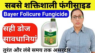 Folicur fungicide  tebuconazole 259 ec  Folicur fungicide uses in hindi  Bayer fungicideFolicur [upl. by Cobbie]