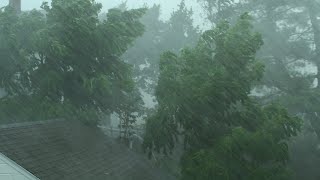 Heavy Rain and Wind Sounds For Sleeping  Relaxation  10 Hours [upl. by Lux]