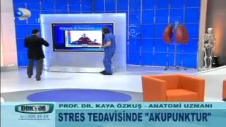 Stres tedavisinde Akupunktur [upl. by Darill437]