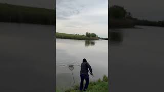 B1st26 pescuitlacrap carpfishing ytfishing crazycarpes [upl. by Waxler]