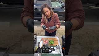 Chicken Yakitori on the Blackstone Griddle [upl. by Atteynad]