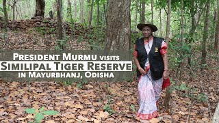 President Droupadi Murmu visits Similipal Tiger Reserve in Mayurbhanj Odisha [upl. by Dam330]