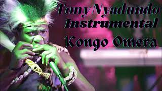 Tony Nyadundo Kongo Omera Instrumental [upl. by Barthold]