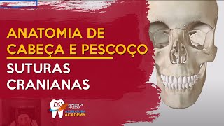 Suturas Cranianas  ANATOMIA DE CABEÇA E PESCOÇO [upl. by Nevile899]