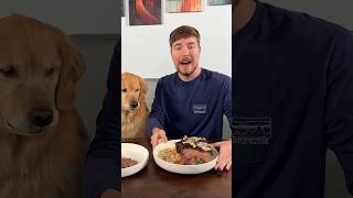 Feeding A Dog 1 vs 10000 Steak [upl. by Noerb552]