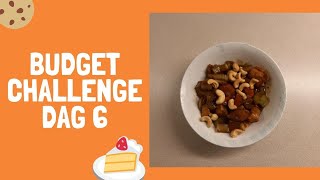 Budgetchallenge dag 6 een wokgerecht met kip 172 [upl. by Ynohtnaeoj]