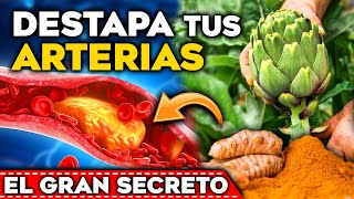 ¡LIMPIA tus ARTERIAS Come estos 4 ALIMENTOS y MIRA sus EFECTOS en tu CUERPO  BAJAR el COLESTEROL [upl. by Artenra873]