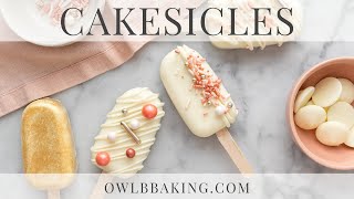 How to Make Cakesicles  8 Ways to Decorate [upl. by Lyell]