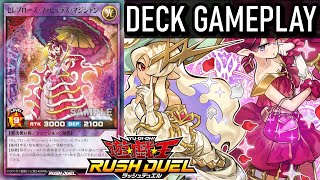 Celeb Rose Fabulous Magician  Celeb Rose DECK  YuGiOh Rush Duel Deck Rush Duel Gameplay [upl. by Aloise511]