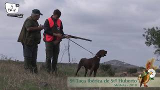 9ª Taça Ibérica de St º Huberto em Mértola [upl. by Lewls193]