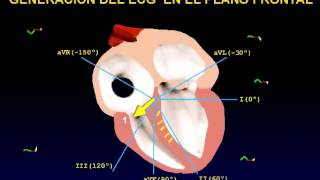 El electrocardiograma EKG [upl. by Nirol]