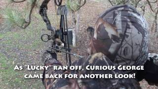 Bow Hunting Fall Turkey 2010 HD [upl. by Strait]