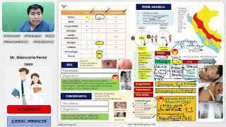 INFECCIONES VIRALES PARTE 2  FIEBRE AMARILLA ZIKA CHIKUNGUNYA  INFECTOLOGÍA  VILLAMEDIC [upl. by Lowenstern847]