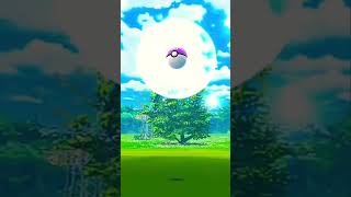 Pokémon Go Great Catch pokemongo pokemon shinypokemon [upl. by Hertz]