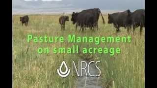 Small Pasture Management cc [upl. by Calysta]